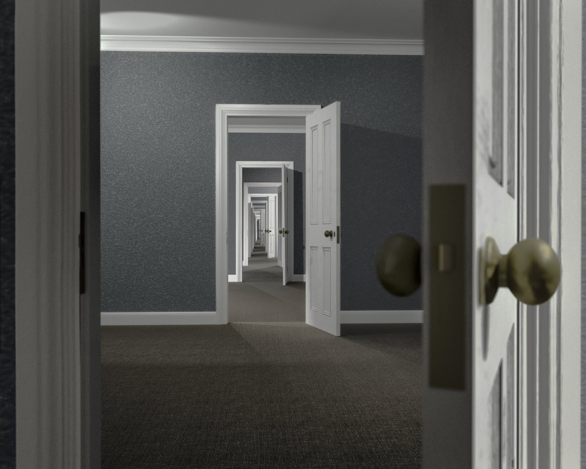 Specialisti delle porte