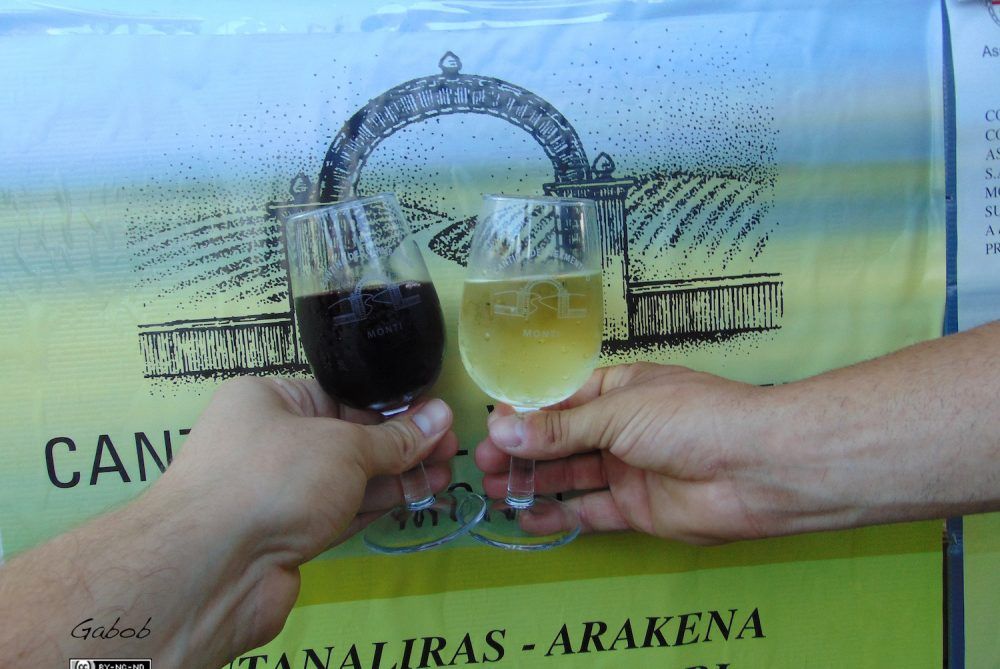 Due mani brindano con un bicchiere di vino rosso e un bicchiere di vino bianco davanti a uno striscione con il logo di una cantina.