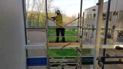 window cleaning