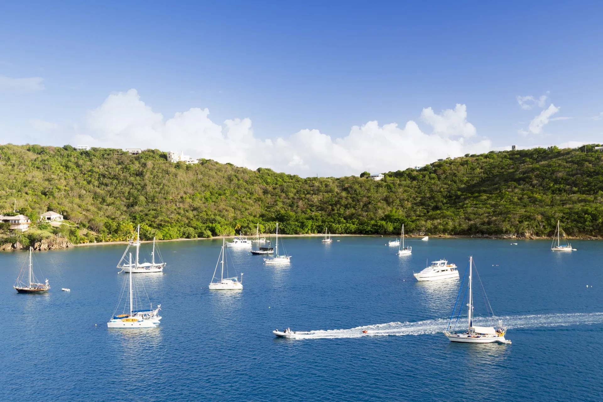 Lake view with boats