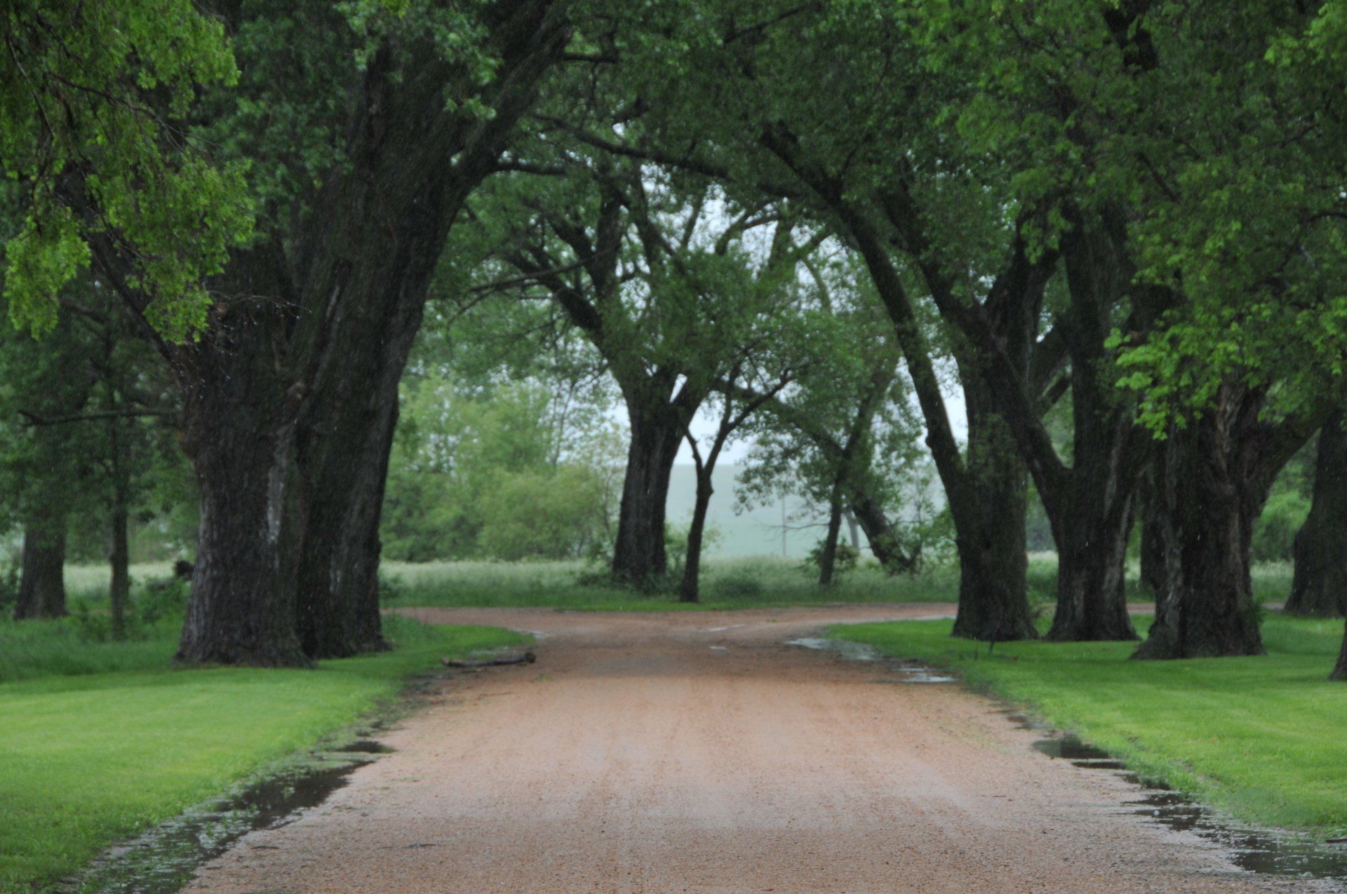 Arnold, NE