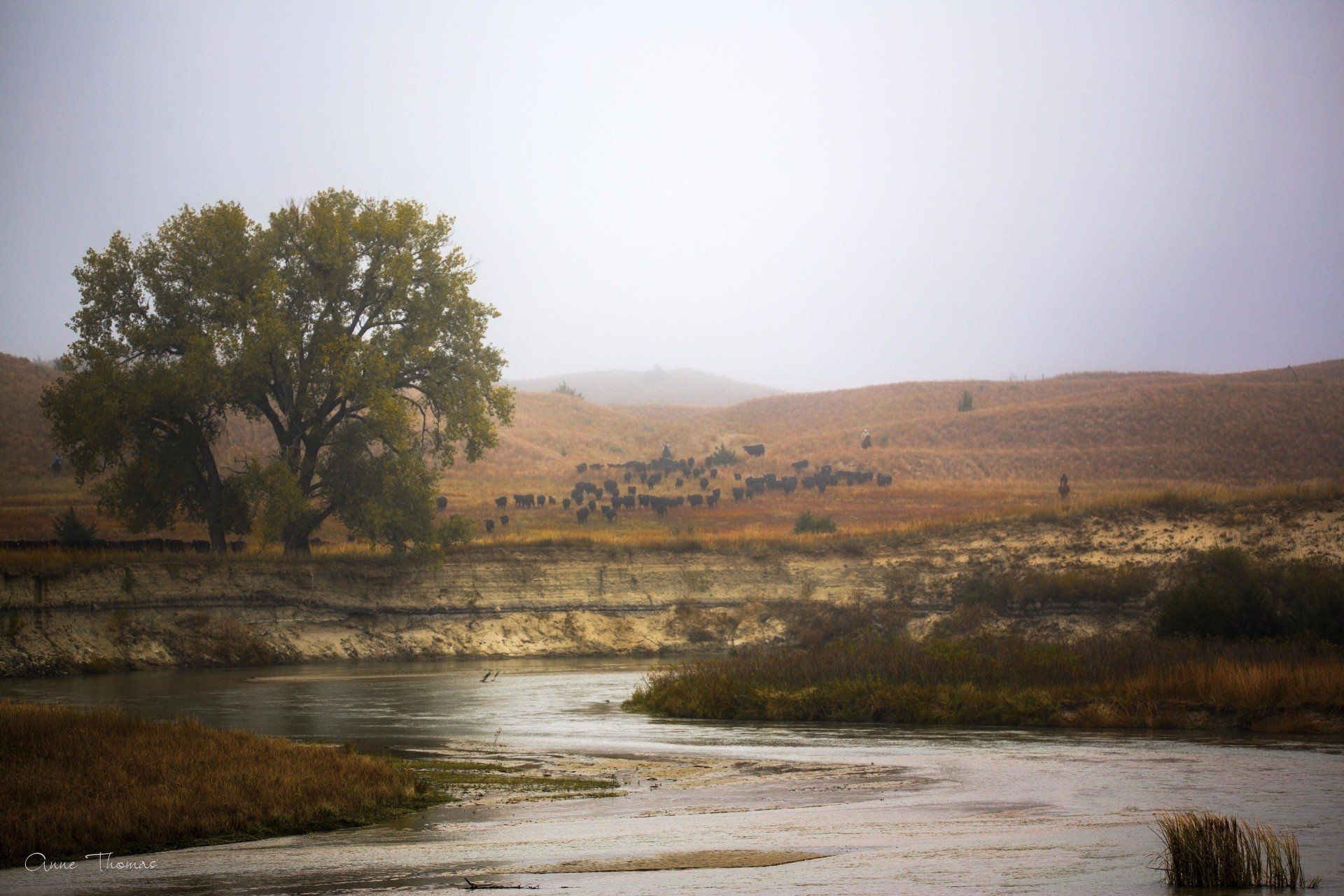 Custer County River