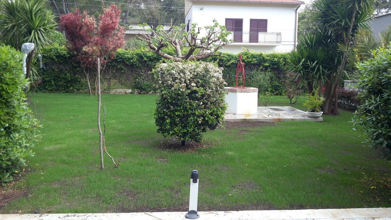 giardino dopo intervento di potatura
