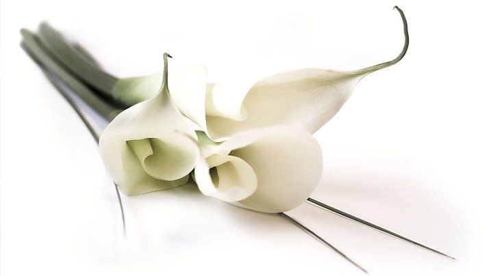 White flower