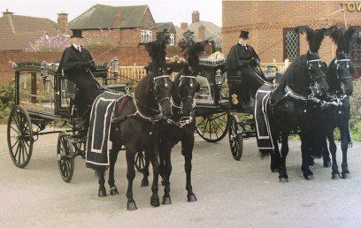 Horse drawn carriages