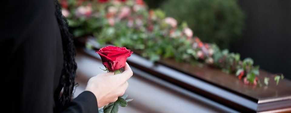 red rose