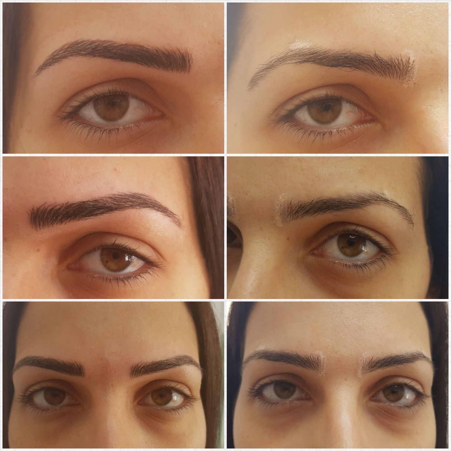 Six close-up eyebrow and eye photos showing eyebrow makeup and shaping variations
