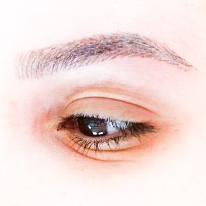 Close-up of a single eye with eyebrow and light makeup on a white background