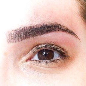 Close-up of a brown eye with a dark eyebrow and light eye makeup