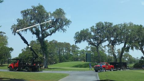 Storm Damageclean Up — Tree Trimming in Jacksonville, FL Storm Damageclean Up — Tree Trimming in Jacksonville, FL