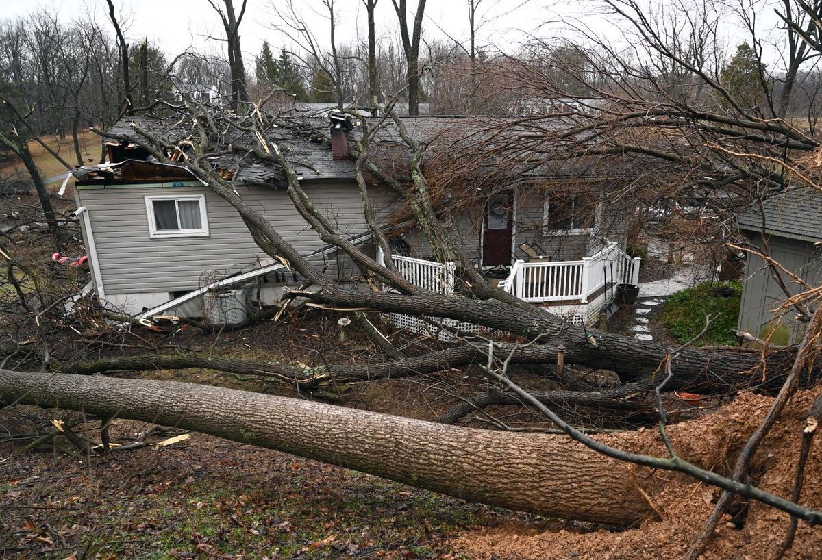 A house with a fallen tree in front of it.