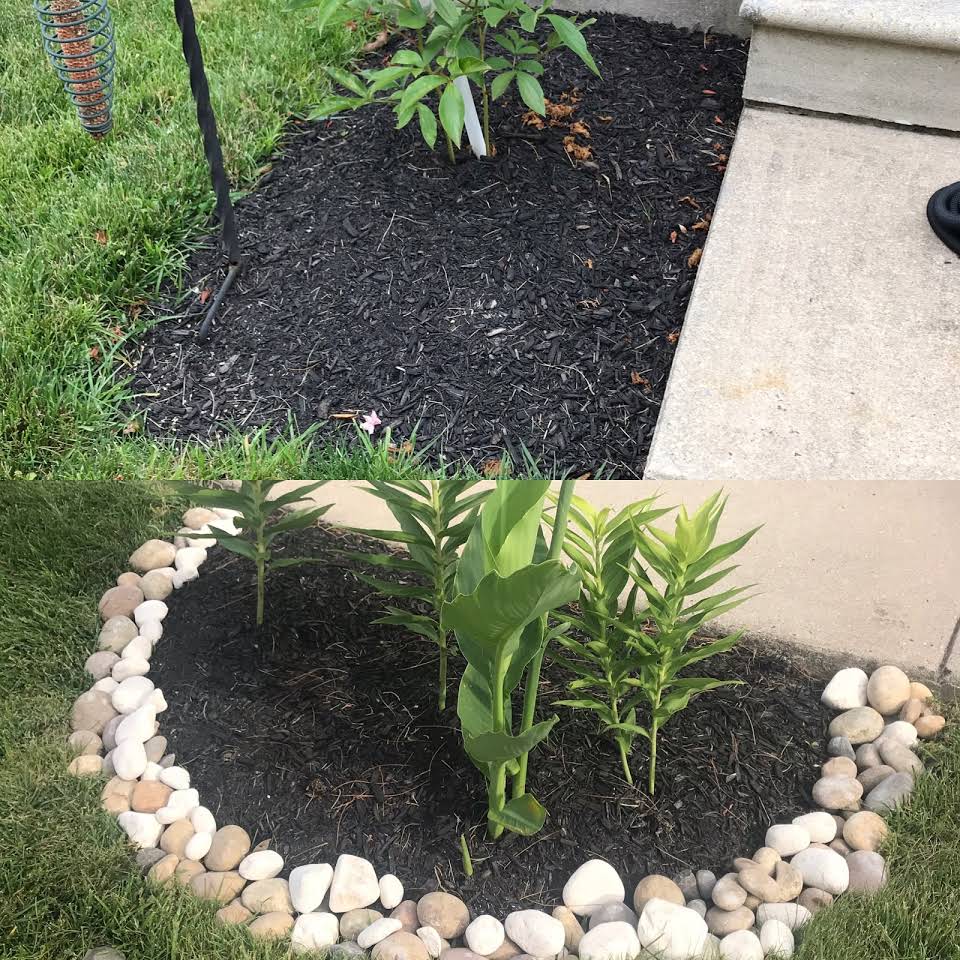 Before and After  Plant With Rocks — Egg Harbor Township, NJ — EV Lawn and Landscape