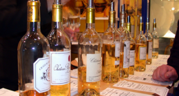 vasta scelta dei vini vasta scelta dei vini