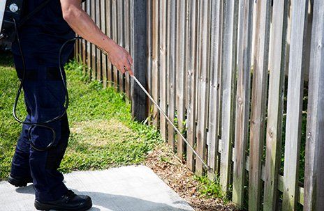 Pest Control on Yard — Chesapeake, VA — Grassroots of Tidewater LTD. Pest Control on Yard — Chesapeake, VA — Grassroots of Tidewater LTD.
