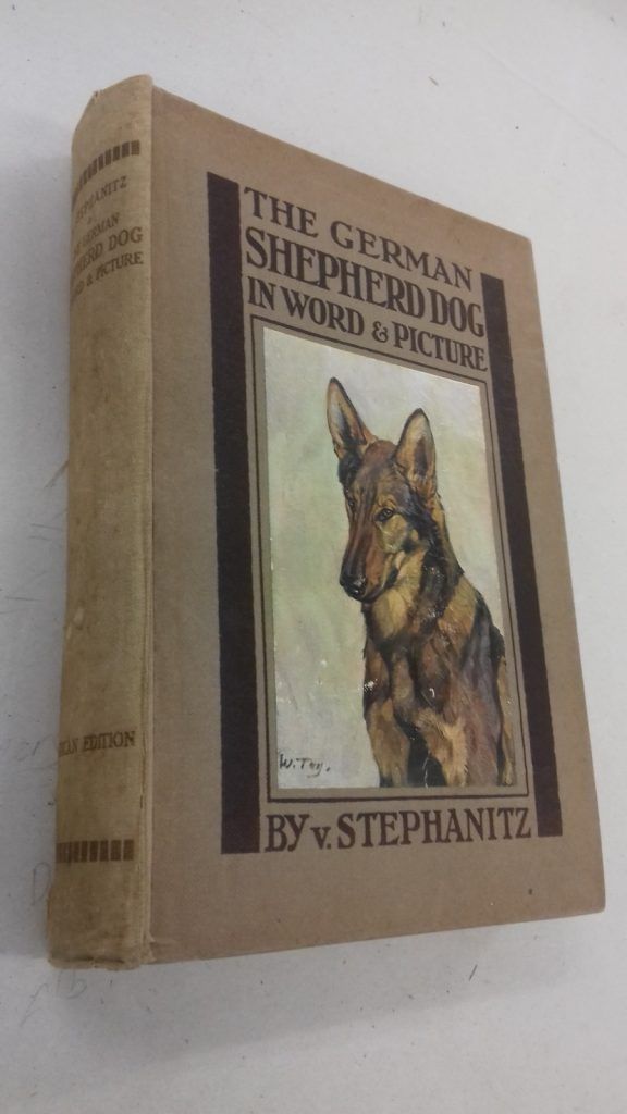 Image of one of book repairs