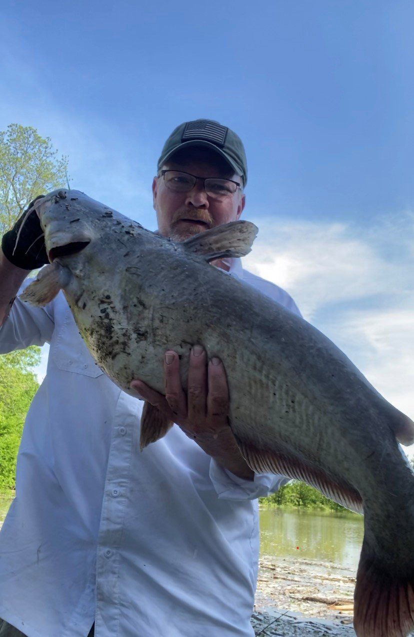Man holding a large, gray catfish outdoors near a body of water under a blue sky.