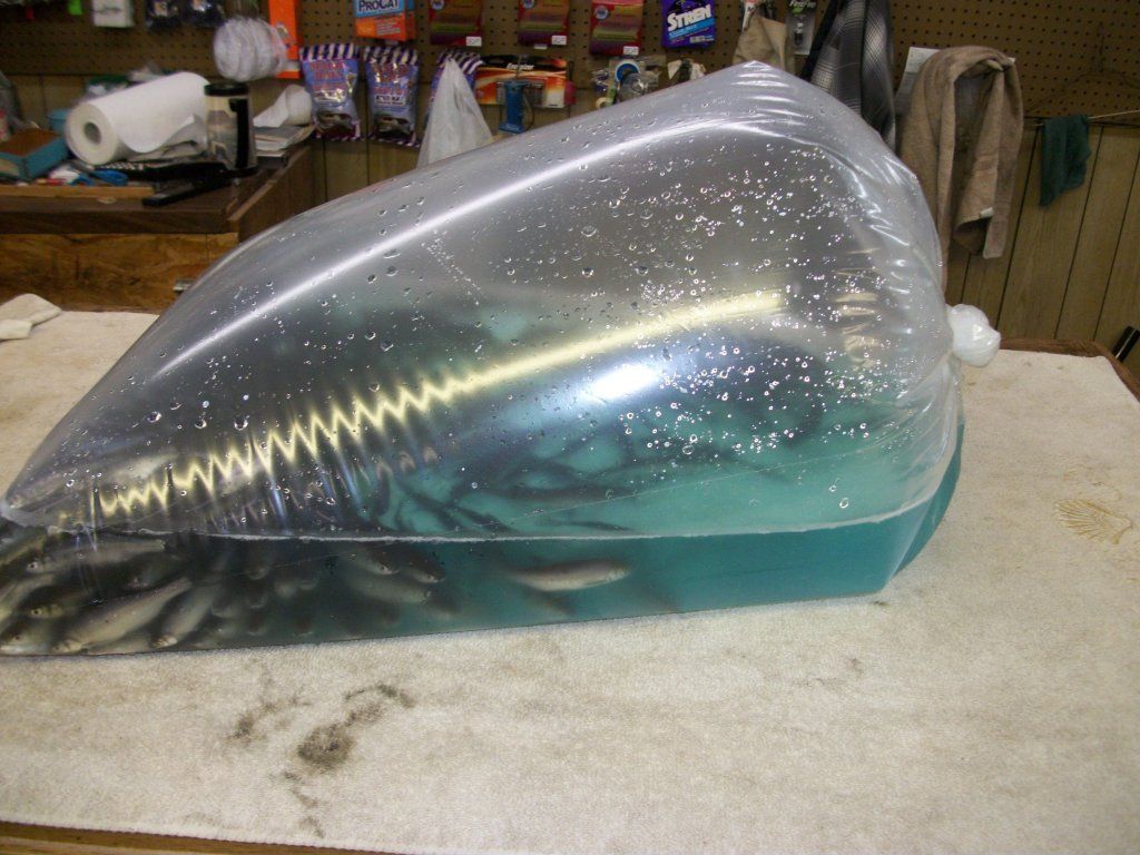 Bag of fish, mostly submerged in water, on a table. The bag is clear.