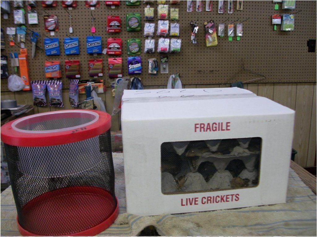 A white box labeled 