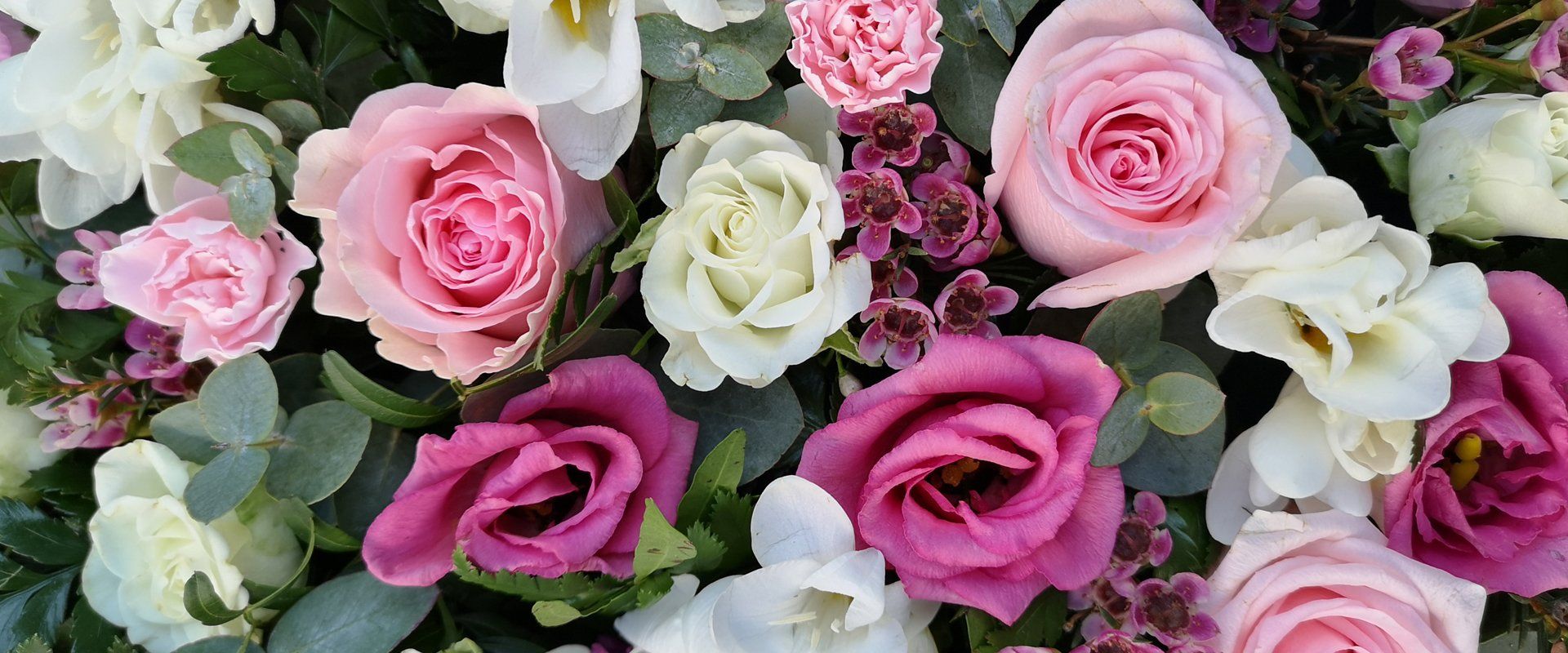 roses