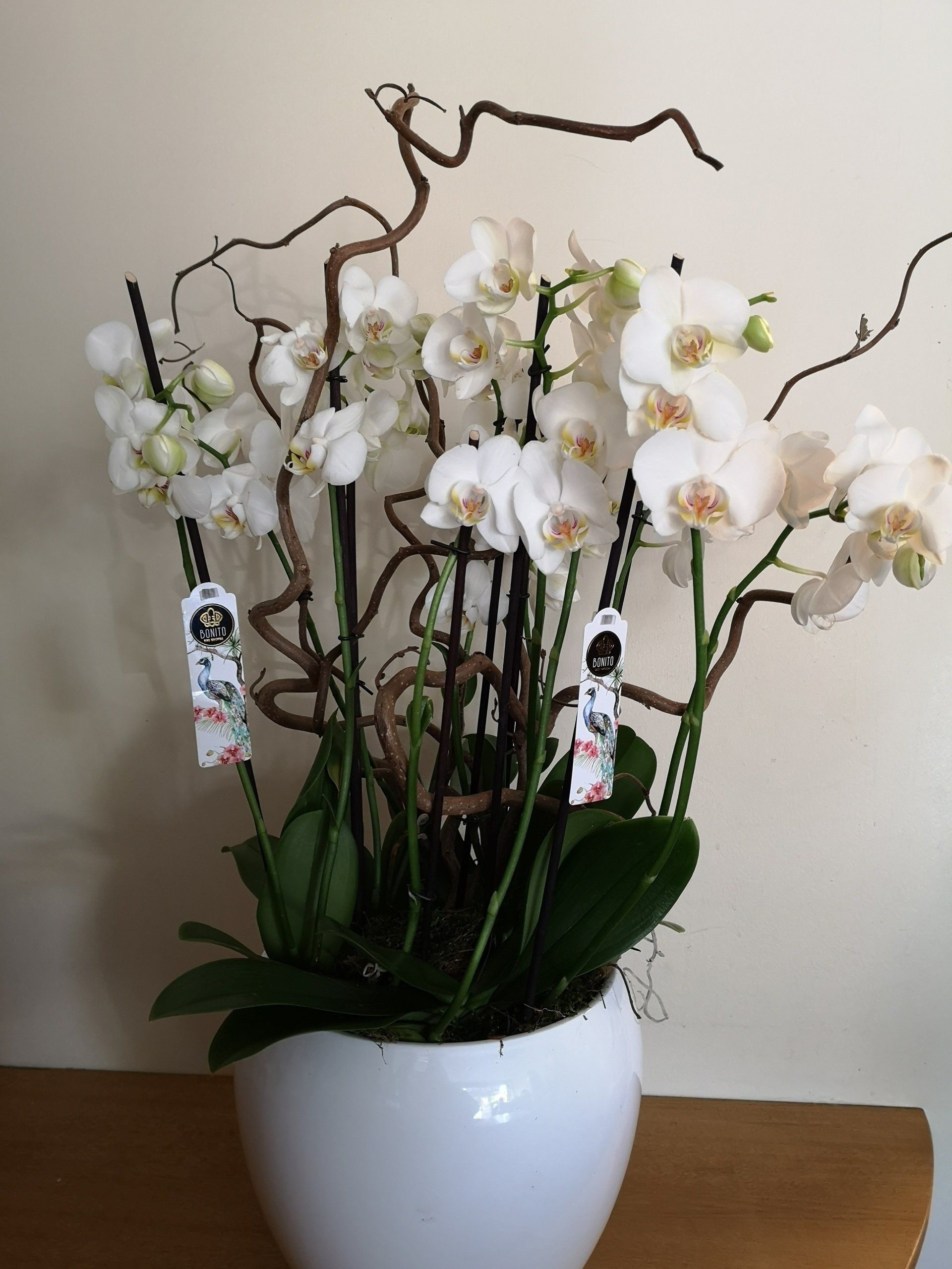 sympathy flowers 3