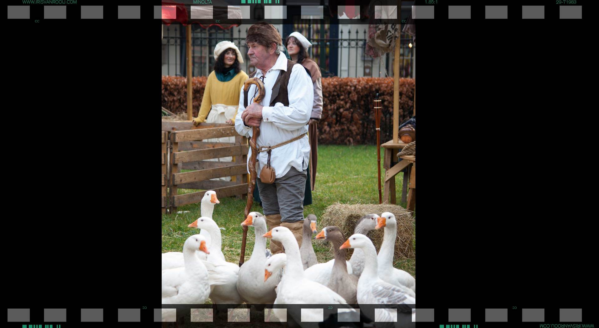 Een man in traditionele kleding houdt een gans vast, omringd door andere ganzen bij een houten hek en toeschouwers.