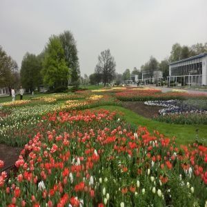 EGAPARK ERFURT Ansicht auf Wiese und Blumen von außen