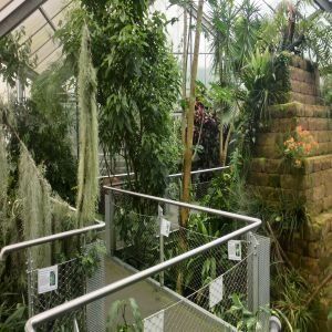 EGAPARK ERFURT  Ansicht innen Gewächshaus
