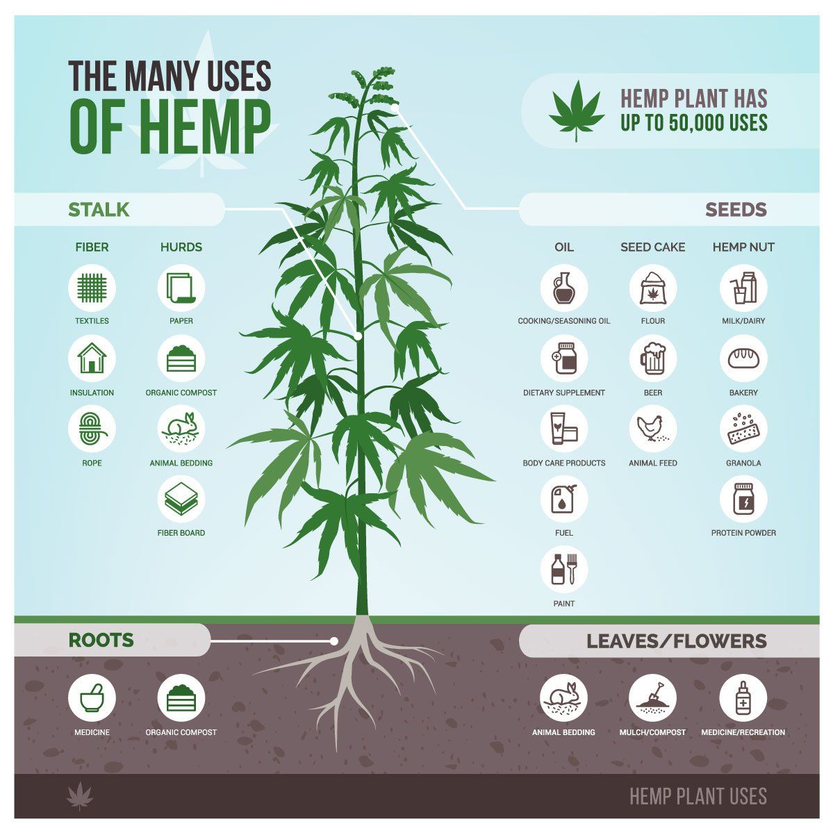 A poster showing the many uses of hemp.