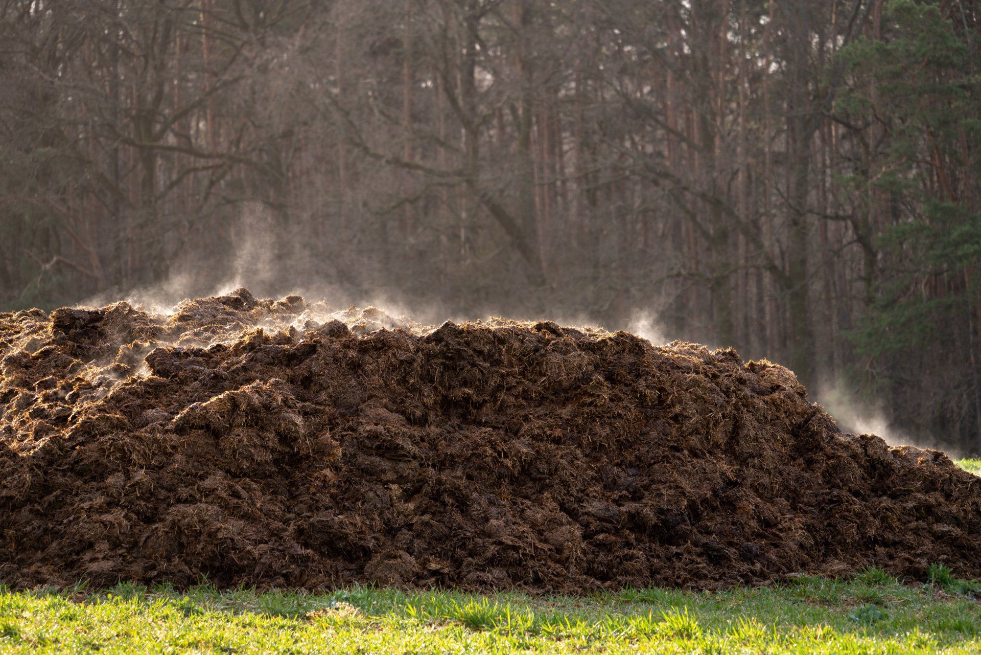 Pile_of_Compost_TPSL