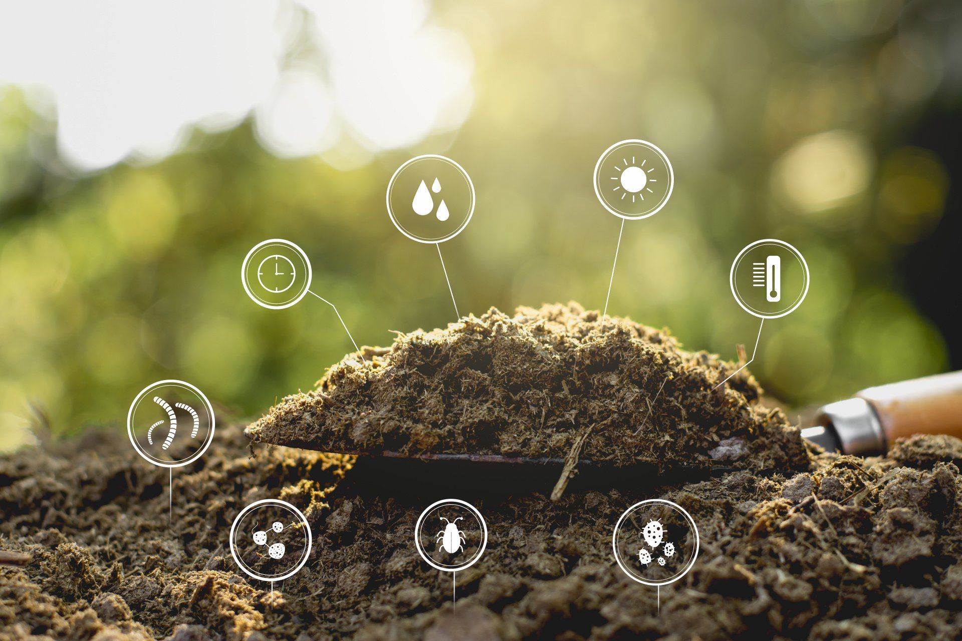 Soil_Nutrients_TPSL