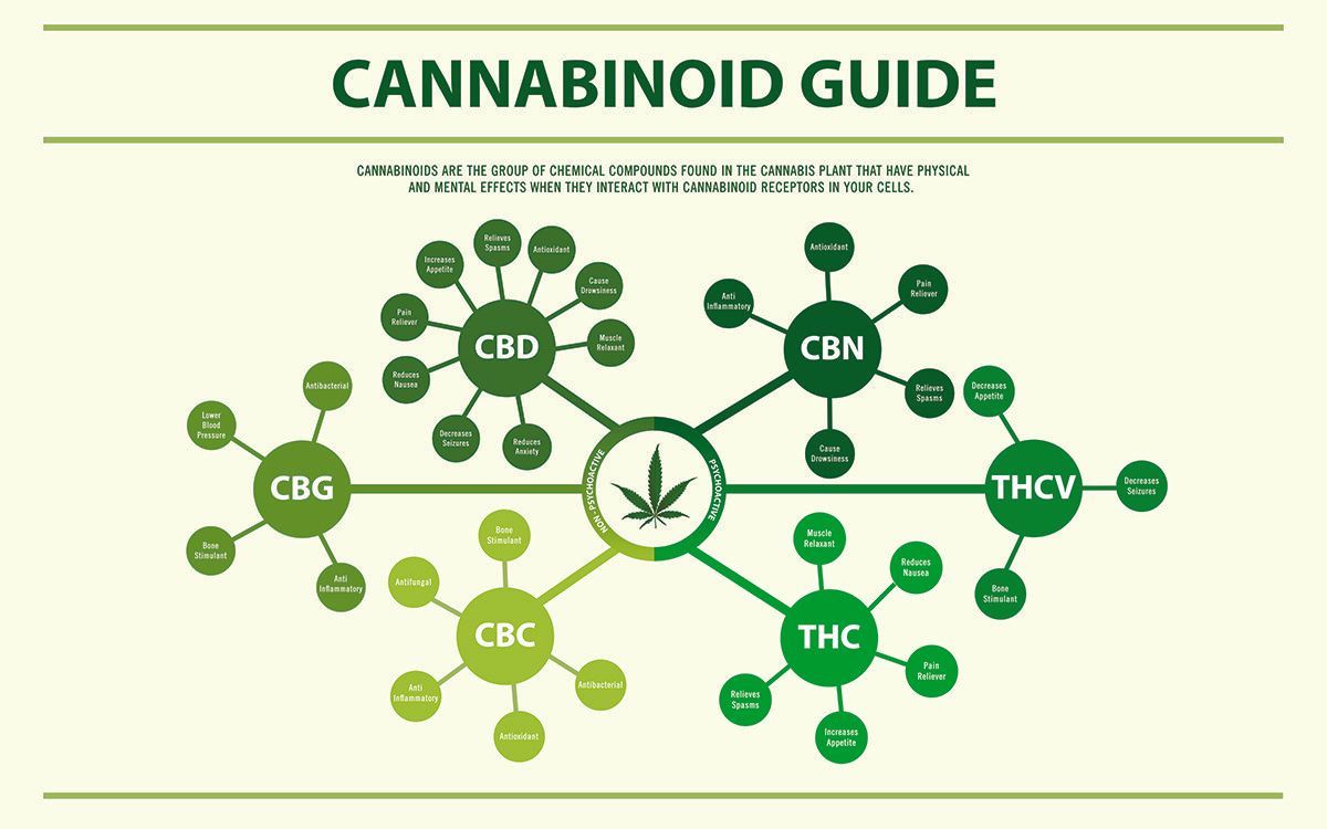 A diagram showing the different types of cannabinoids.