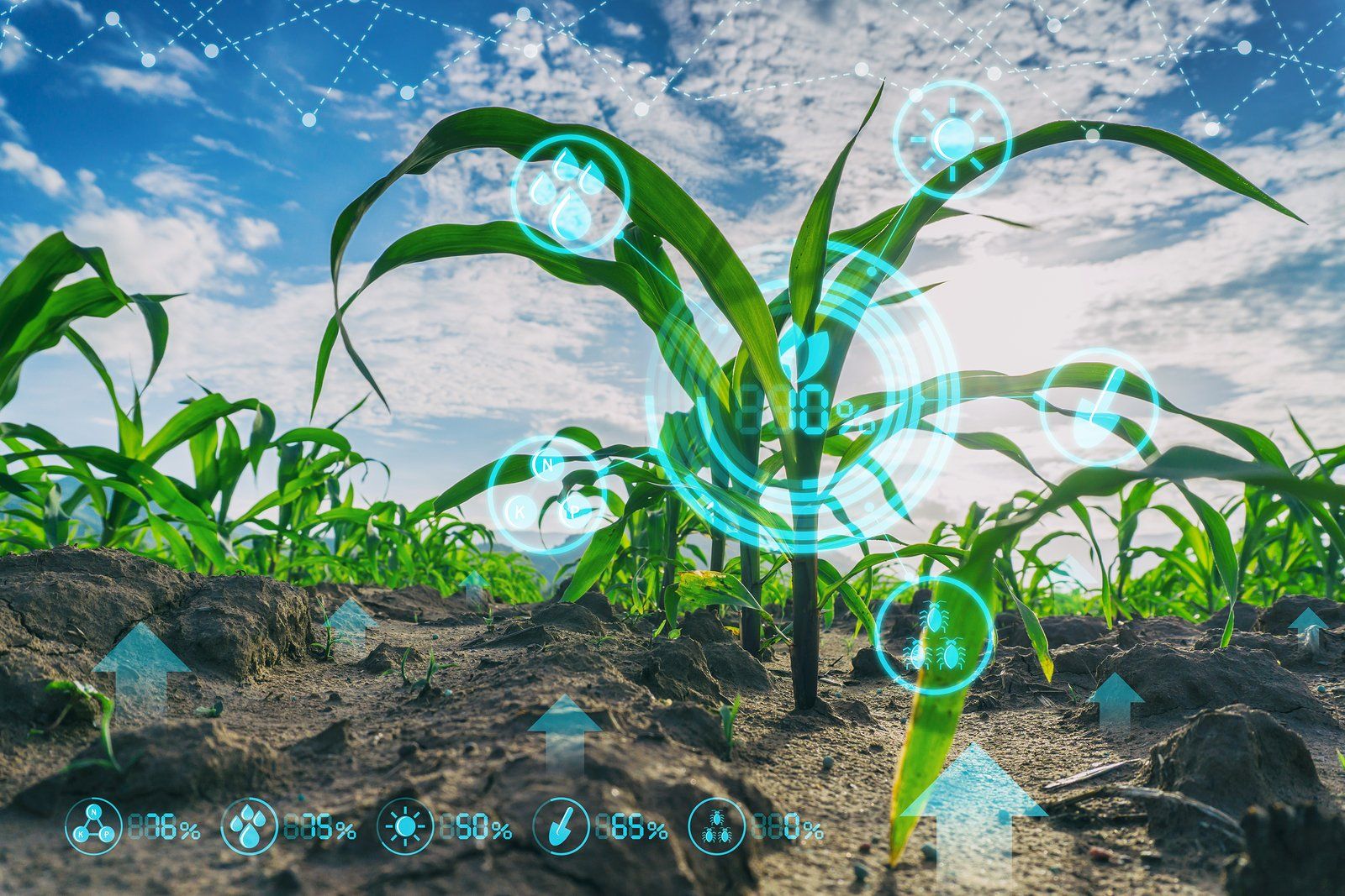 Plant_Testing_Graphic_TPSL