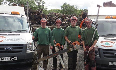 four tree surgeons near two vehicles