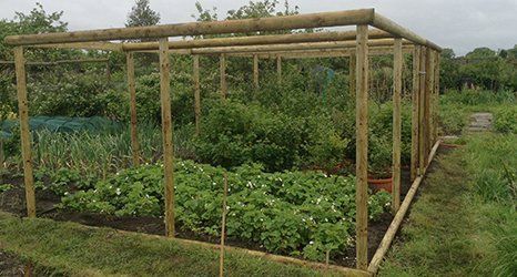 green house