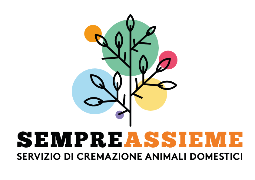 Sempreassieme logo