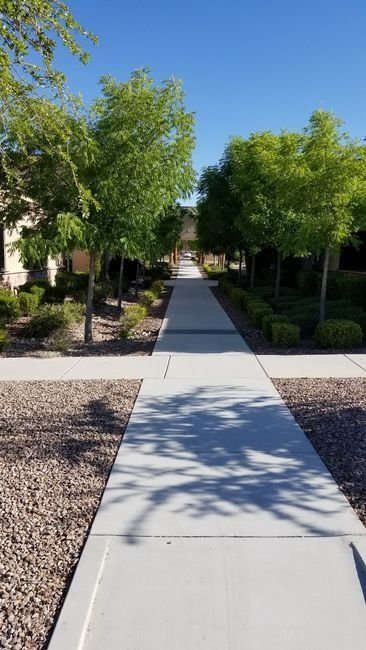 sinkov spine center sidewalk
