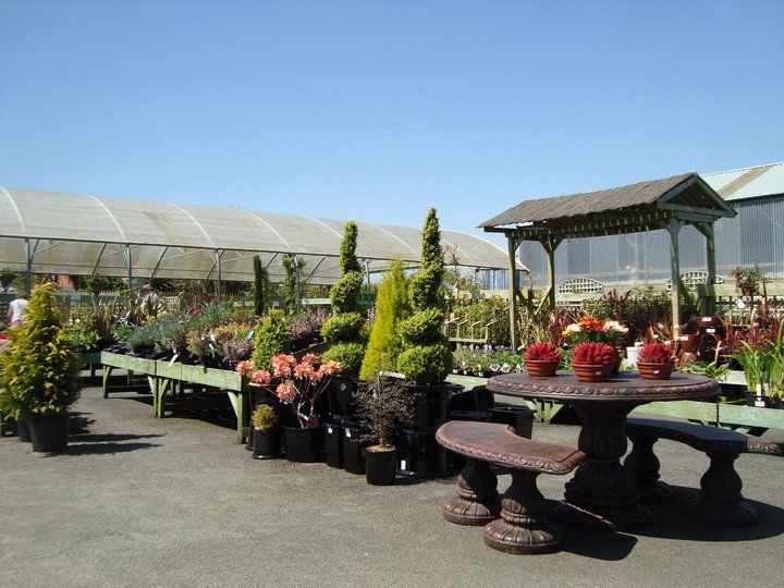 Easter Island Garden Centre - outdoor area