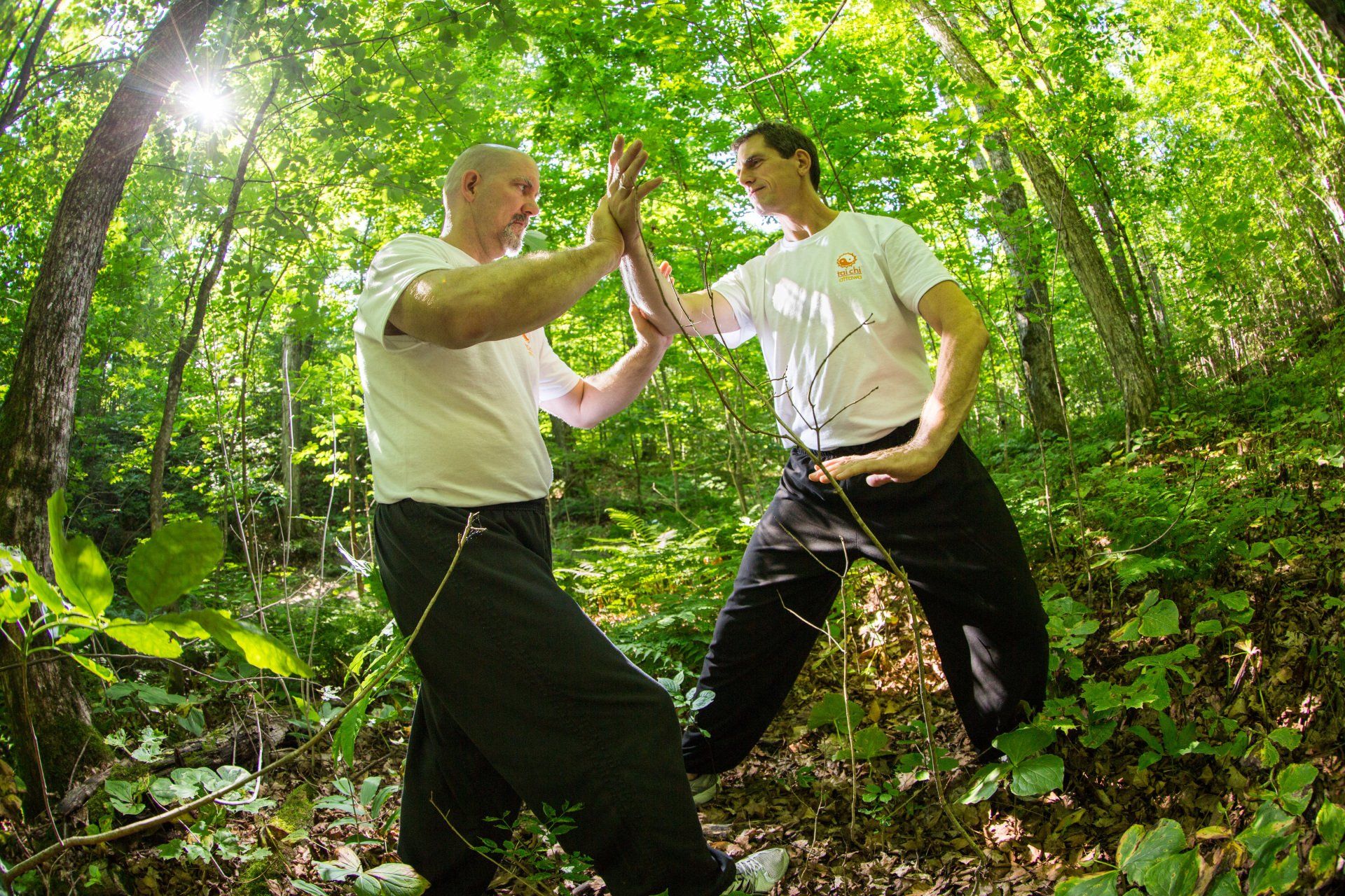 Tai Chi Push Hands in the forest.