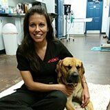 Erin Noe – Port Orange, FL – Veterinary Emergency Center of East Volusia Erin Noe – Port Orange, FL – Veterinary Emergency Center of East Volusia