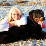 Dr. Kerri Zavota – Port Orange, FL – Veterinary Emergency Center of East Volusia Dr. Kerri Zavota – Port Orange, FL – Veterinary Emergency Center of East Volusia