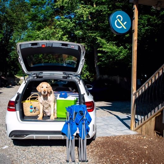 don't forget to pack insurance
