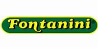 Fontanini