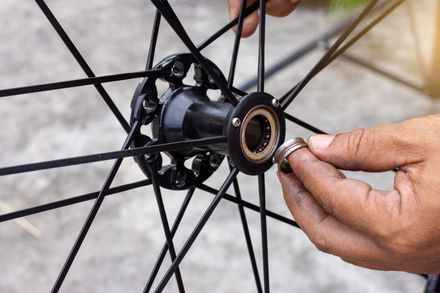 bicycle bearing