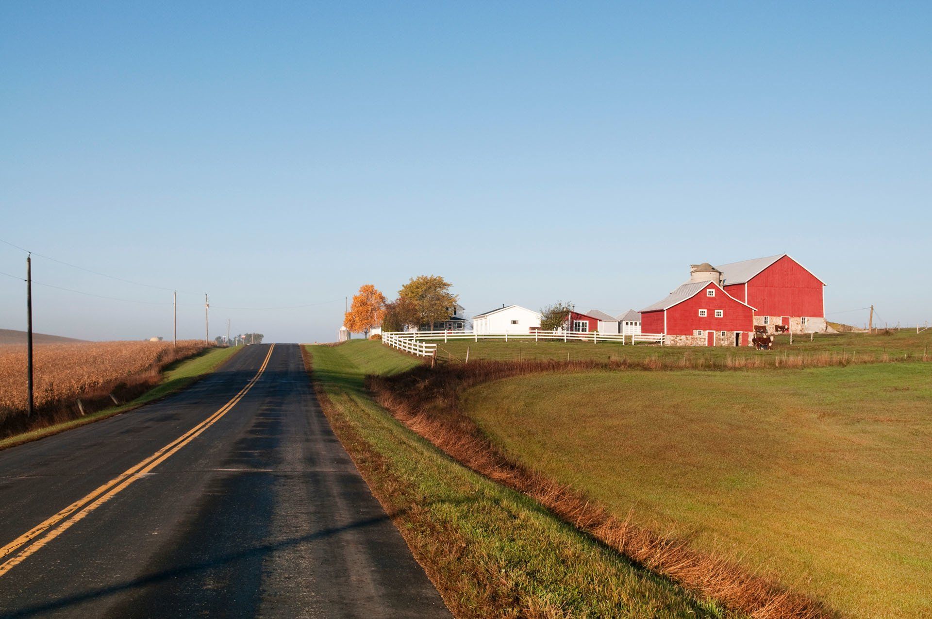 Insurance for Farms in Texas