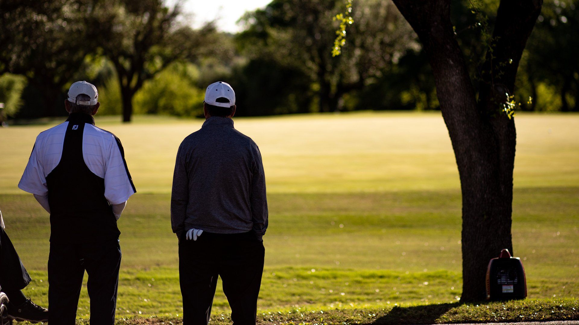 Two men are standing on a golf course next to a tree.