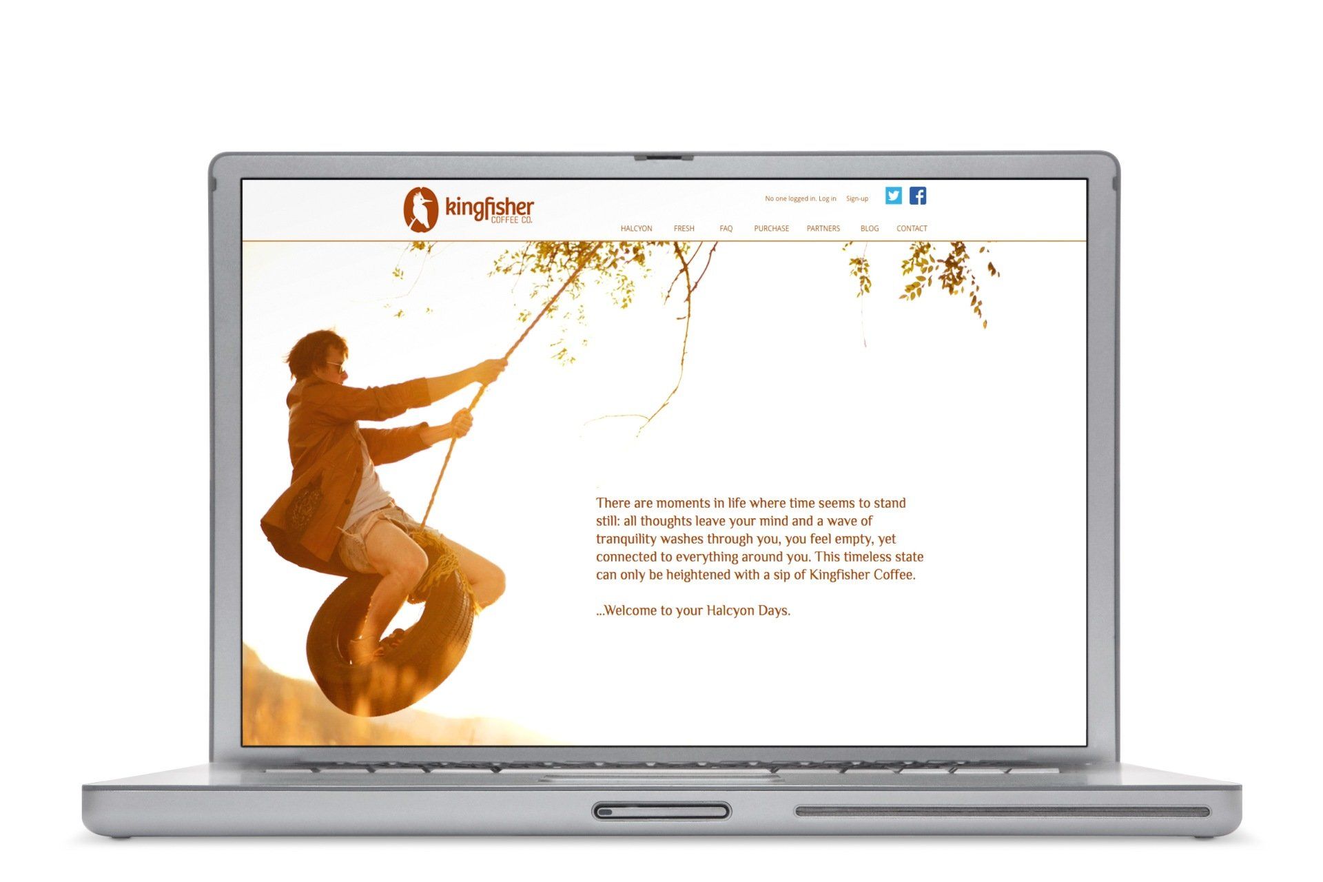 kingfisher coffee website