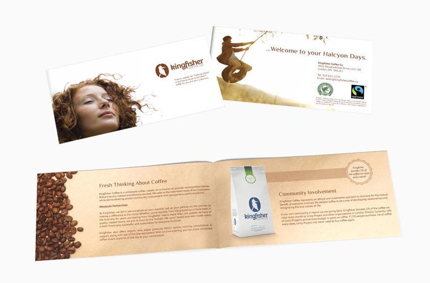 kingfisher coffee brochure