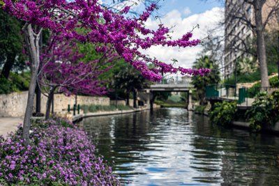 San Antonio, Texas