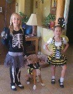 Trick or Treat