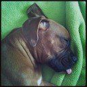 Nitey Nite! 